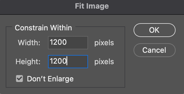 Photoshop Fit Image dialog set to 1200 by 1200 pixels with Don't Enlarge checked